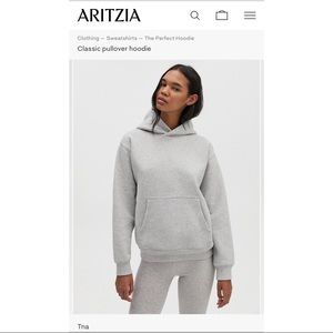 Light Blue Aritzia Tna “The Perfect Hoodie,” M